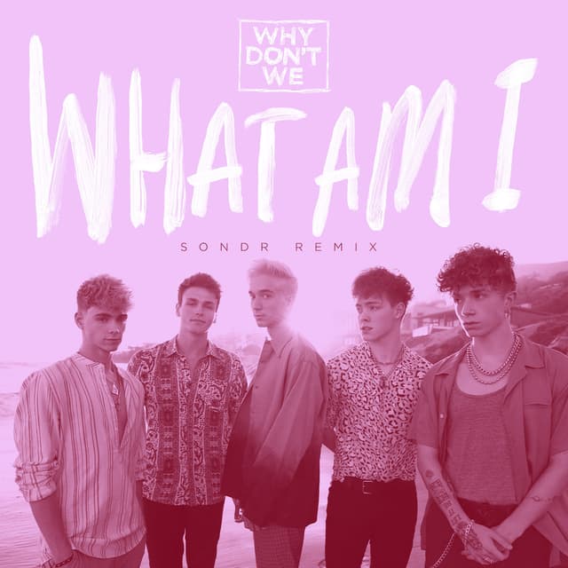 What Am I (SONDR Remix) cover
