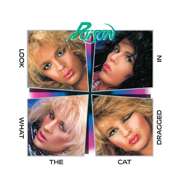 Look What the Cat Dragged In cover
