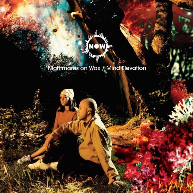 Mind Elevation album cover