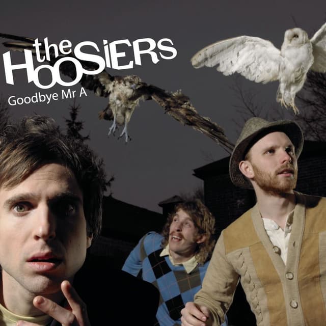 Goodbye Mr A cover