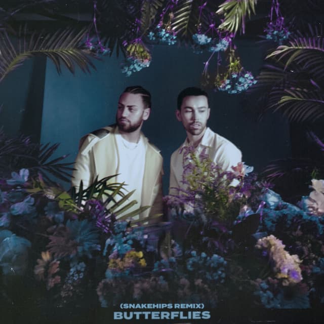 Butterflies (Snakehips Remix) cover