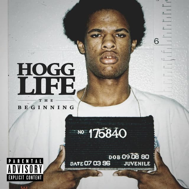 Hogg Life: The Beginning cover