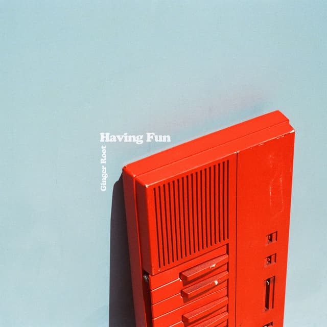 Having Fun cover