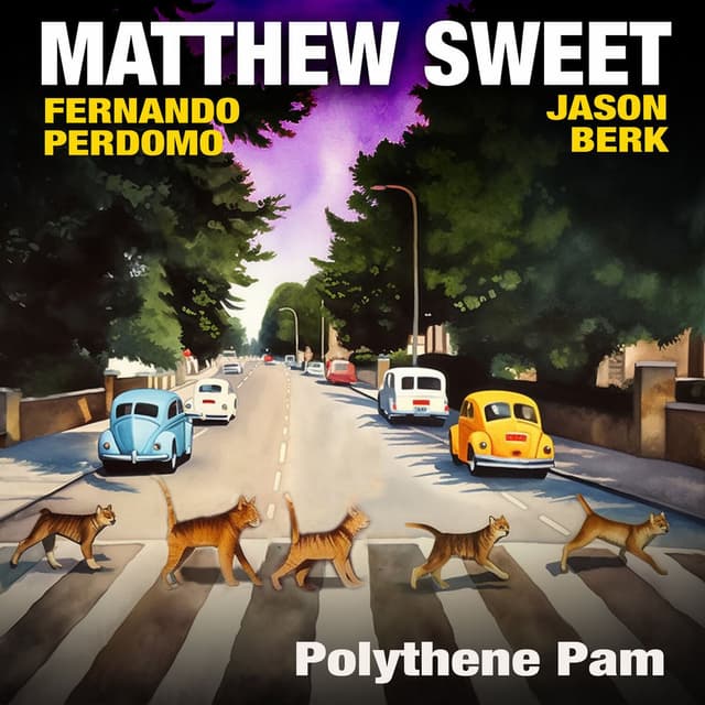 Polythene Pam album cover