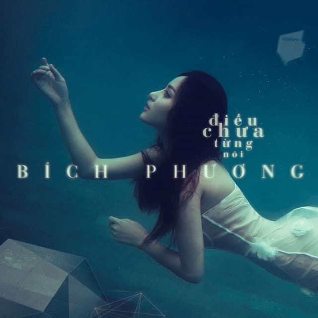 Đêm Em Chờ/Những Đêm Lặng Câm cover