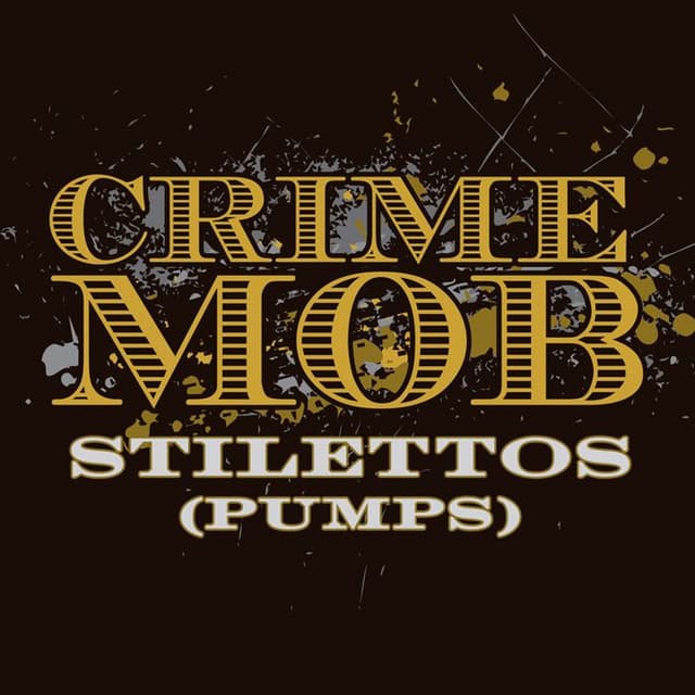 Stilettos (Pumps) cover