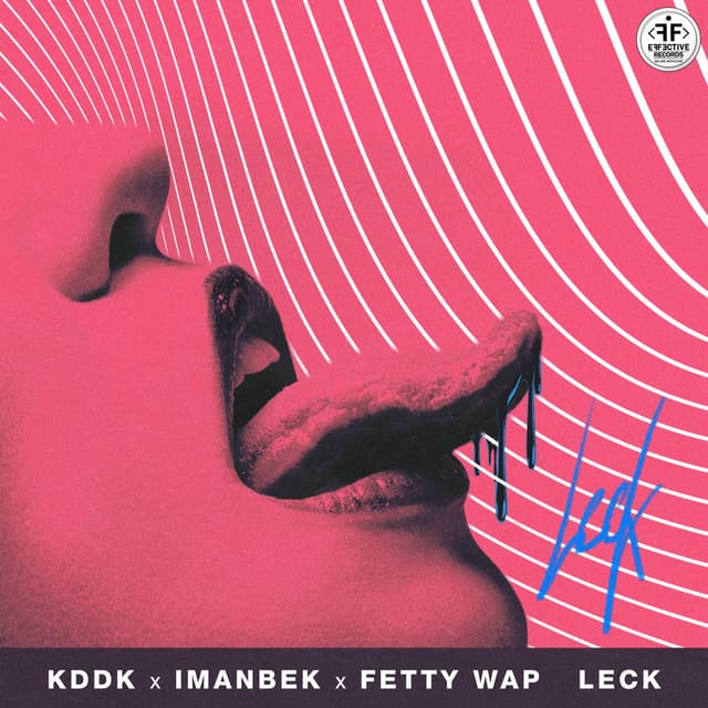 Leck cover
