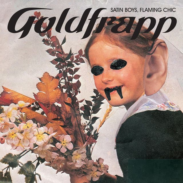 Satin Boys, Flaming Chic cover