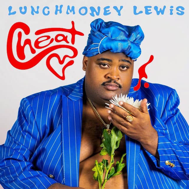 Cheat cover