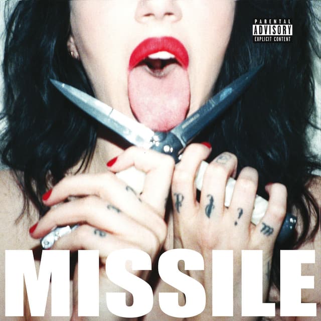 Missile cover