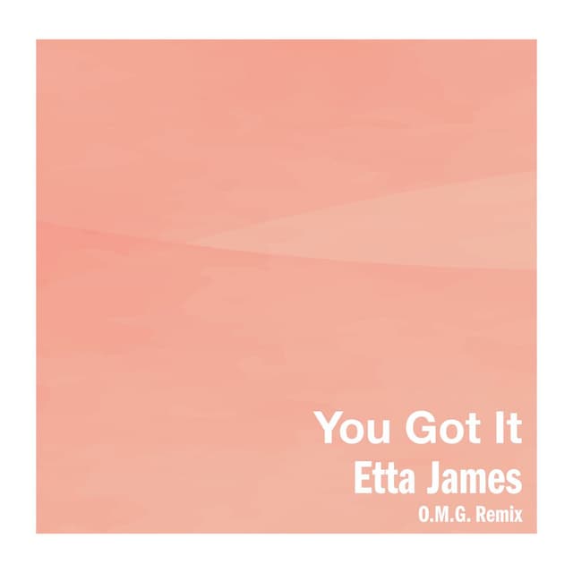You Got It (O.M.G. Remix) album cover