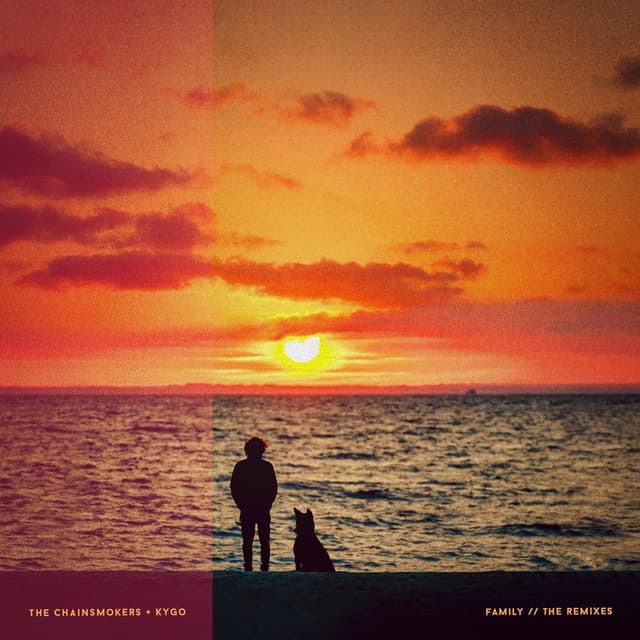 Family (Remixes) cover