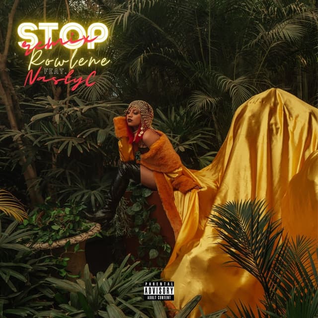 Stop (Remix) cover