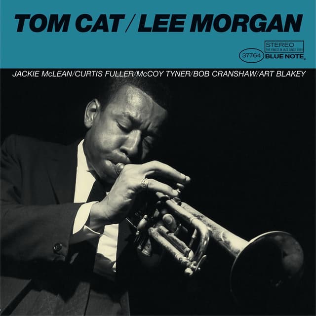 Tom Cat cover