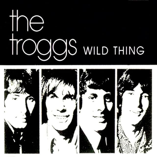 Wild Thing album cover