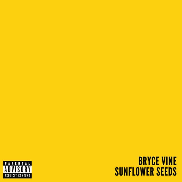 Sunflower Seeds cover