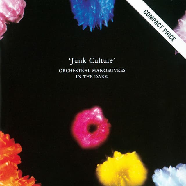 Junk Culture cover