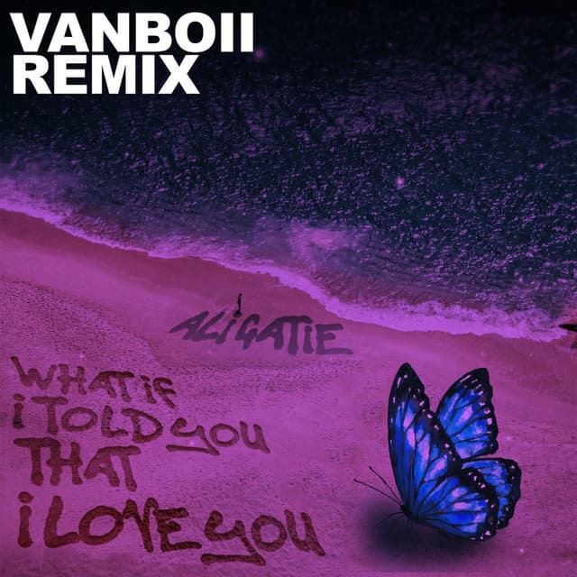 What If I Told You That I Love You (Vanboii Remix) cover
