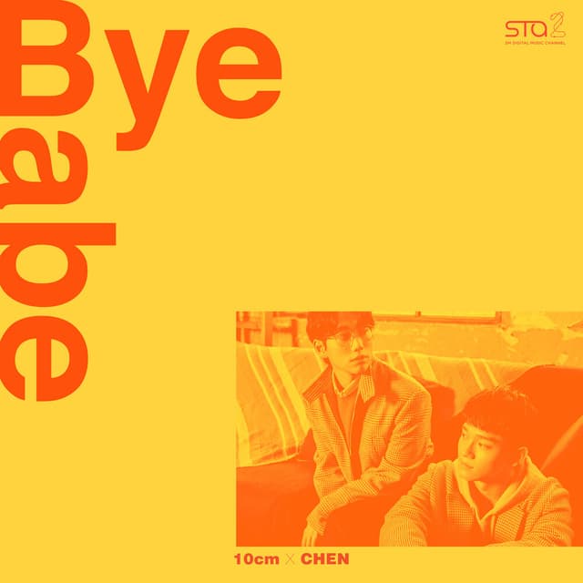 Bye Babe cover