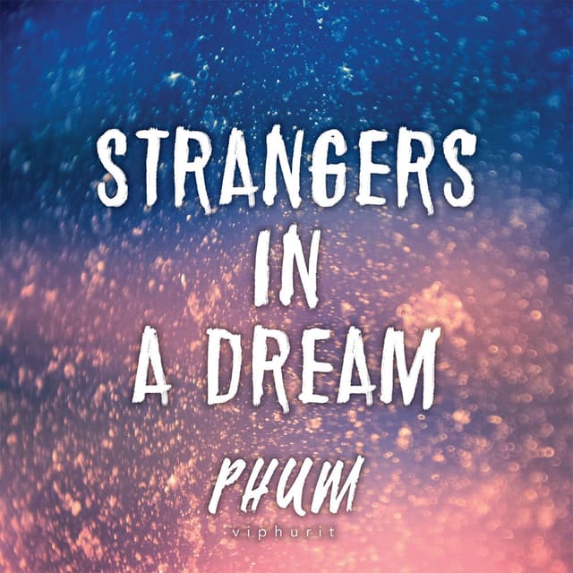Strangers in a Dream cover