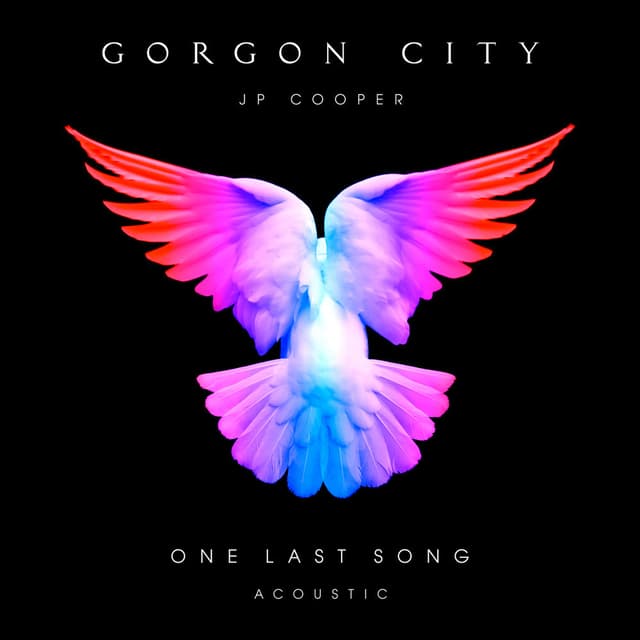 One Last Song (Acoustic) cover