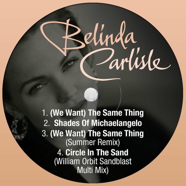 We Want the Same Thing cover
