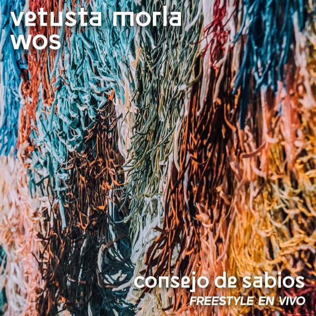Consejo de Sabios cover