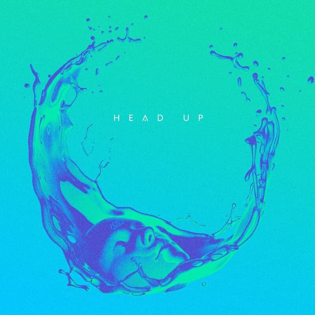 Head Up cover