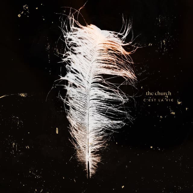 C'est La Vie cover