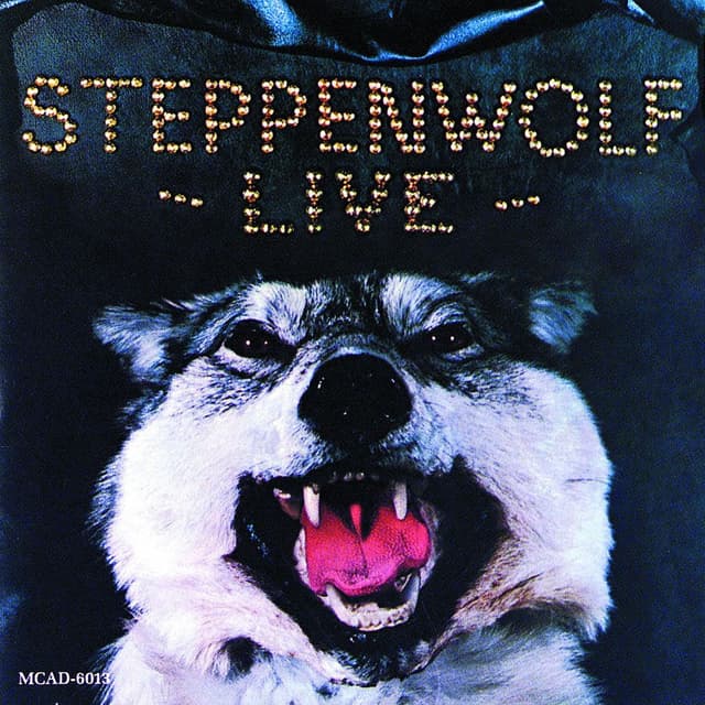 Live Steppenwolf album cover