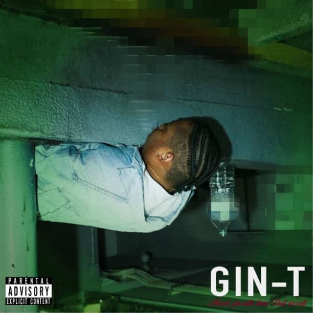 GIN-T cover
