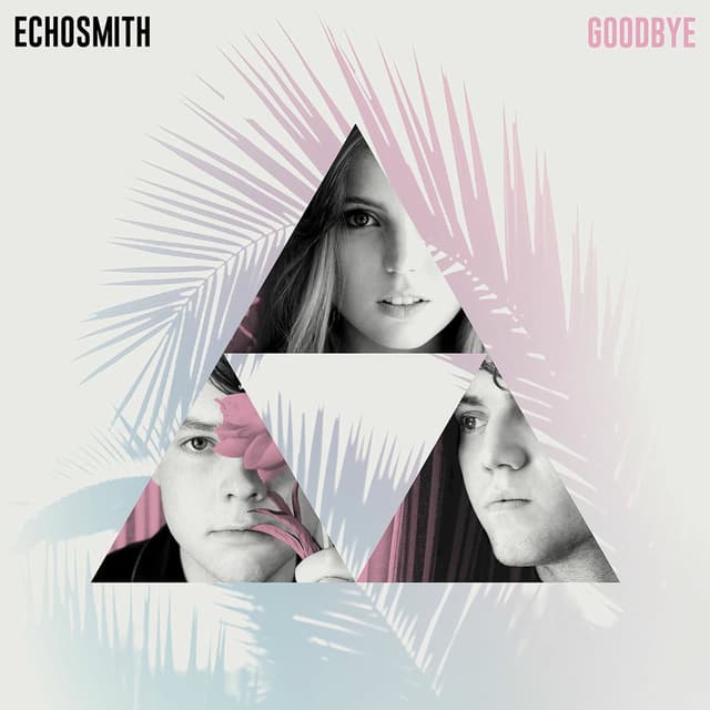 Goodbye cover