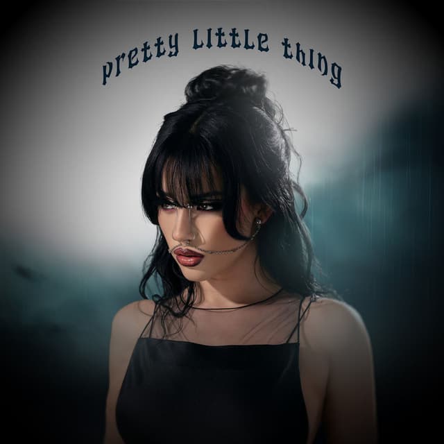 pretty little thing cover