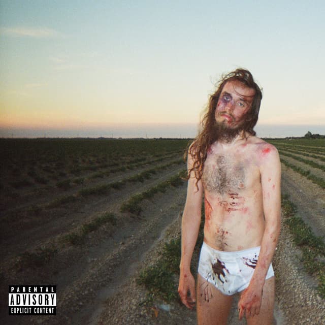 The South Got Something to Say cover