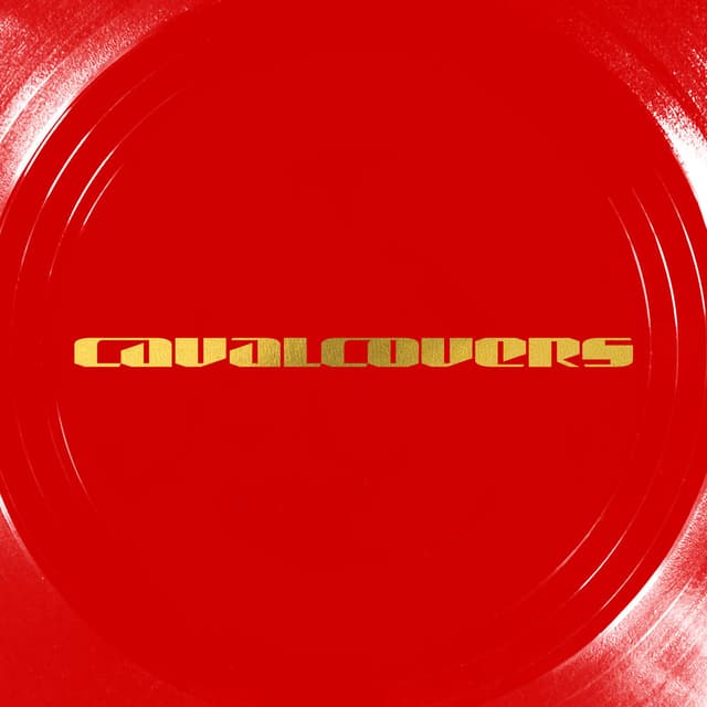 Cavalcovers cover