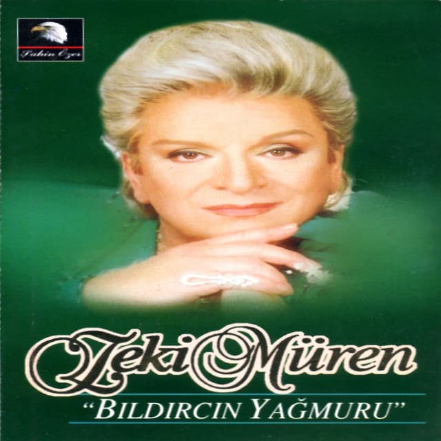 Bıldırcın Yağmuru cover