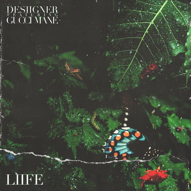 Liife cover