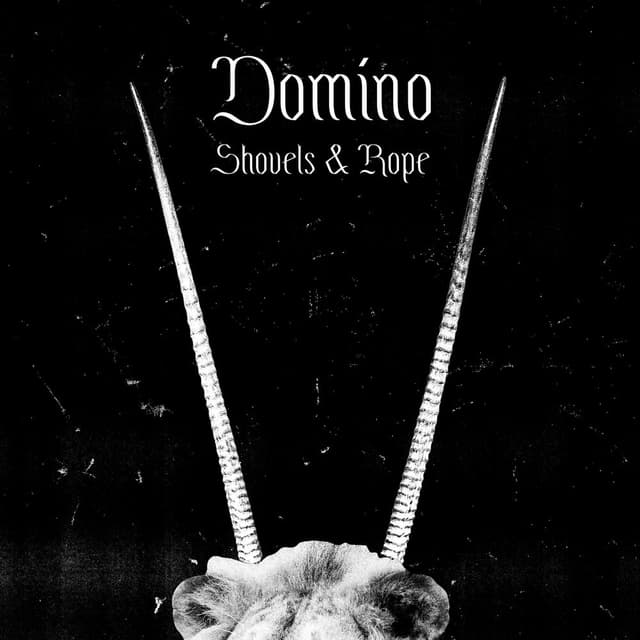Domino cover