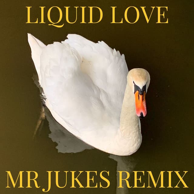 Liquid Love (Mr Jukes Remix) cover
