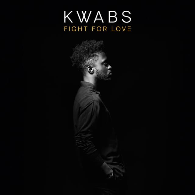 Fight for Love (Blonde Remix) cover