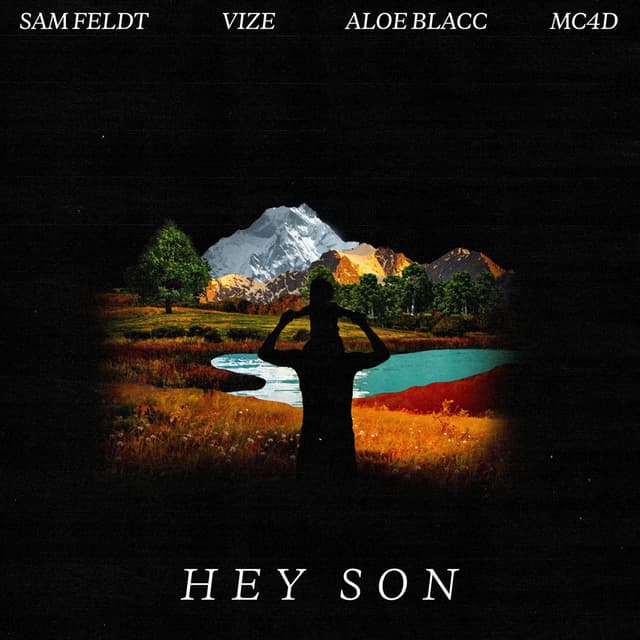 Hey Son cover