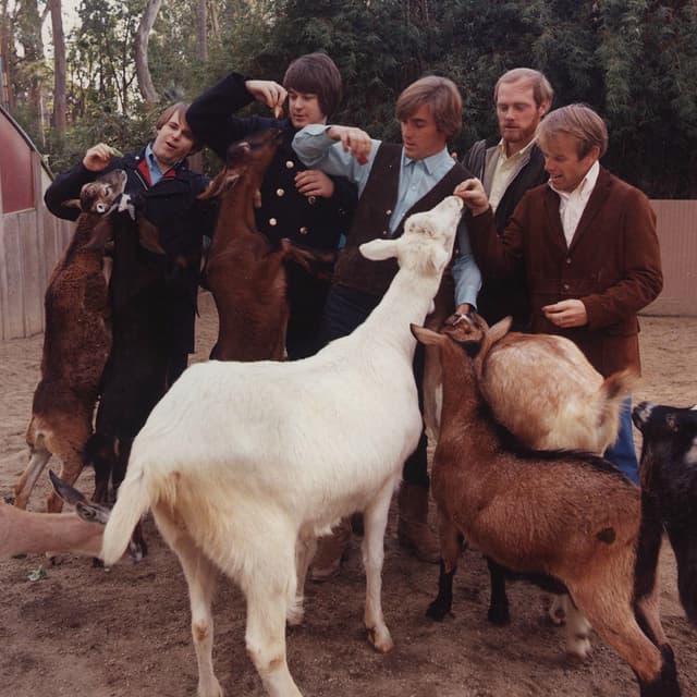 The Beach Boys Love Songs album cover