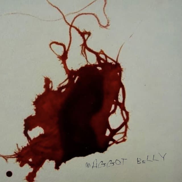 maggot belly cover