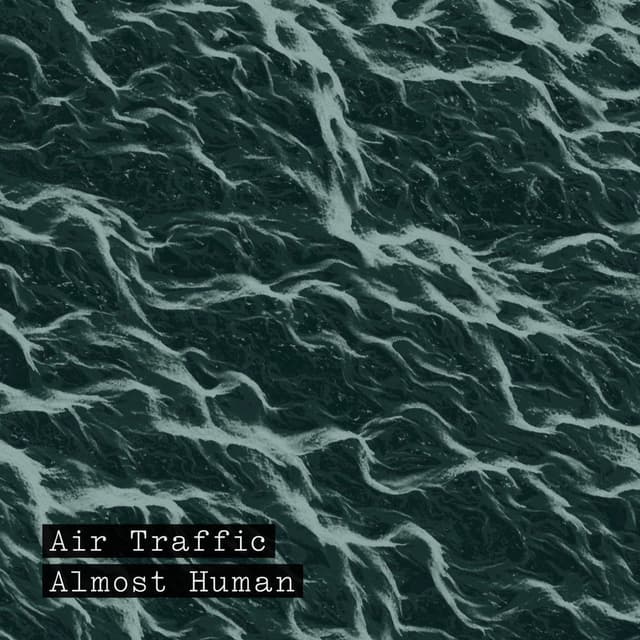 Almost Human album cover