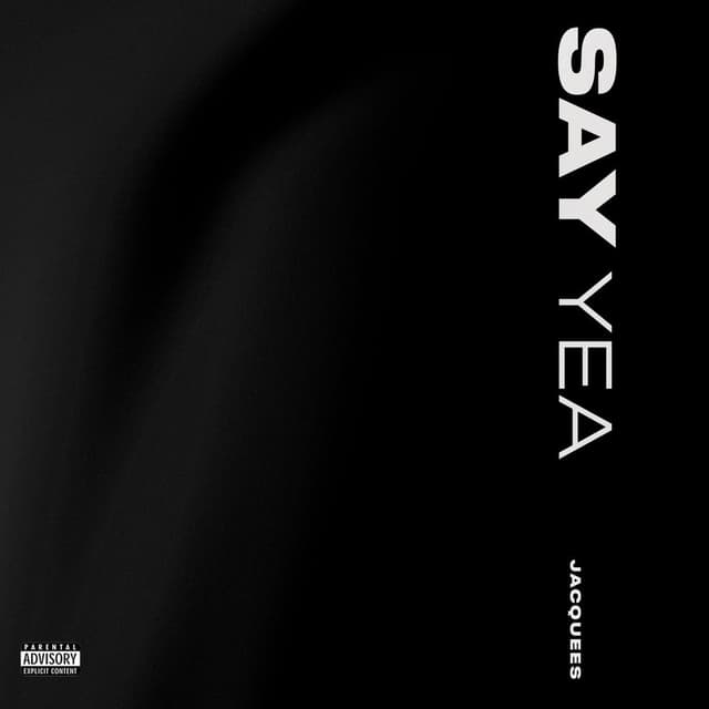 Say Yea cover