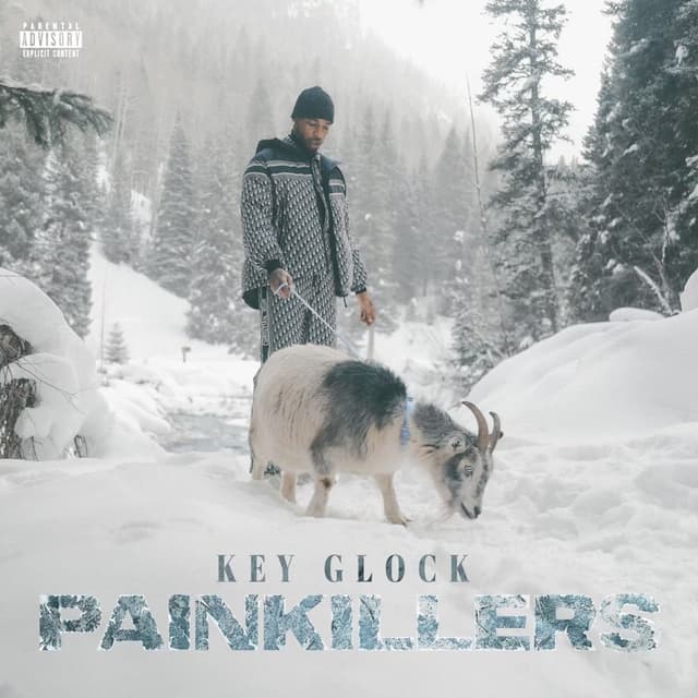 Pain Killers cover