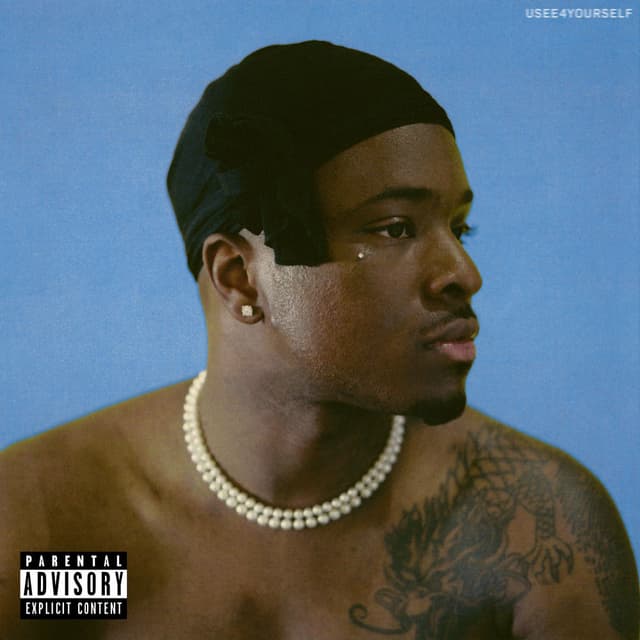 USEE4YOURSELF (Deluxe) cover
