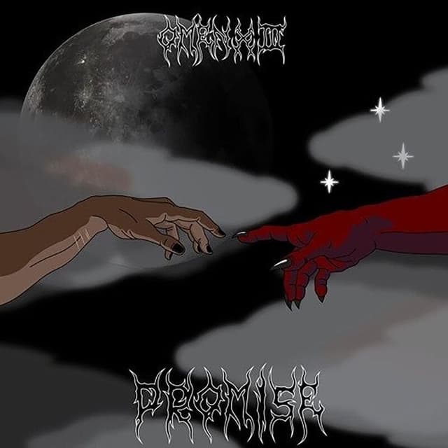 Promise cover
