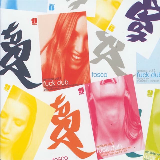 Fuck Dub Remix Collection cover