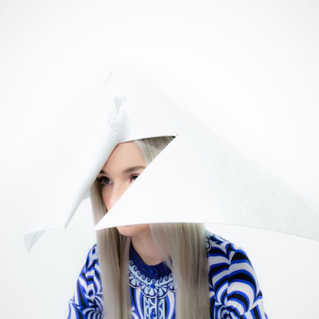 Poppy.Computer cover